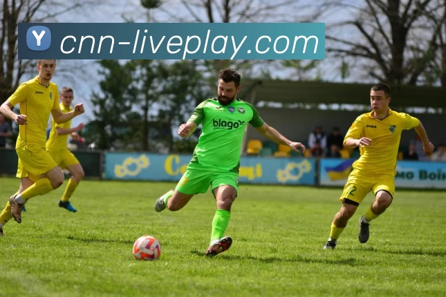 真人游戏官网服务体系